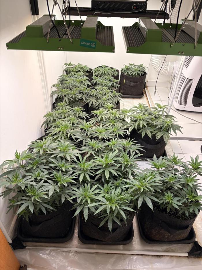 May2026. Week 3