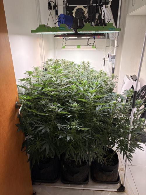 May2026. Week 8