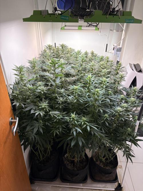 May2026. Week 9