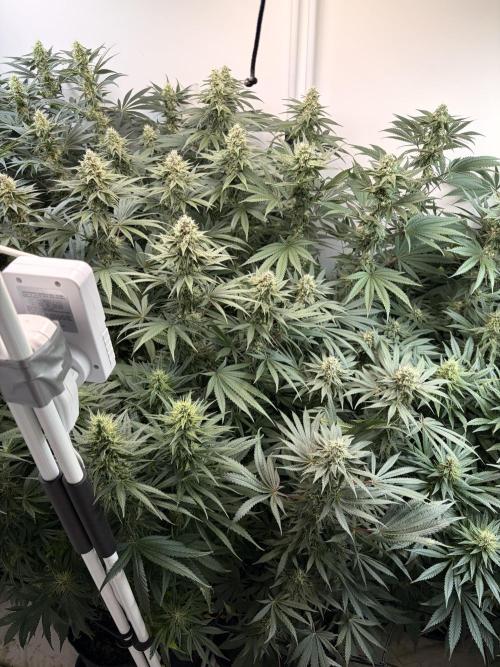 May2026. Week 10