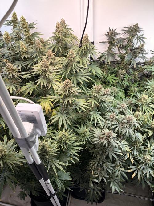 May2026. Week 13