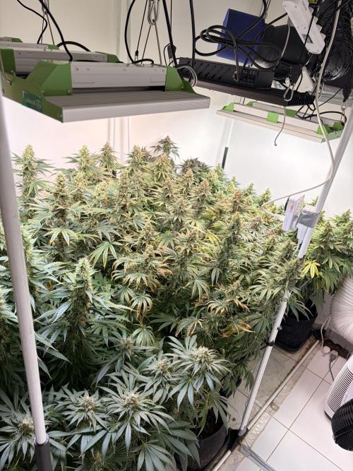 May2026. Week 13