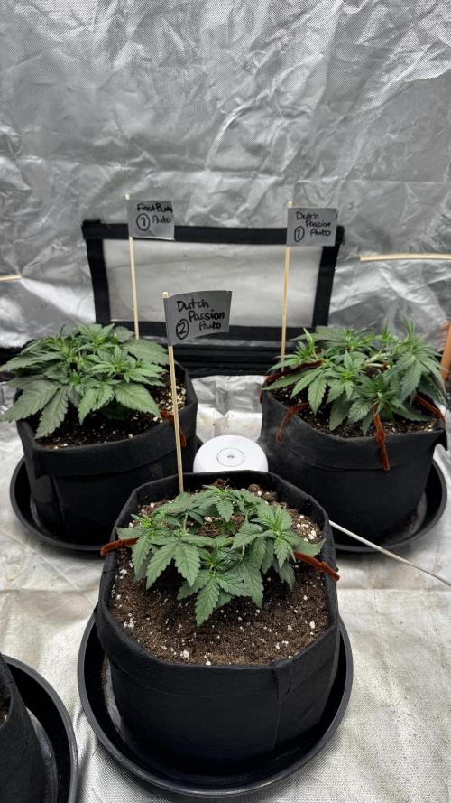 The Comeback. Can I still do this?. Week 4 - 05.04.26
Day 21