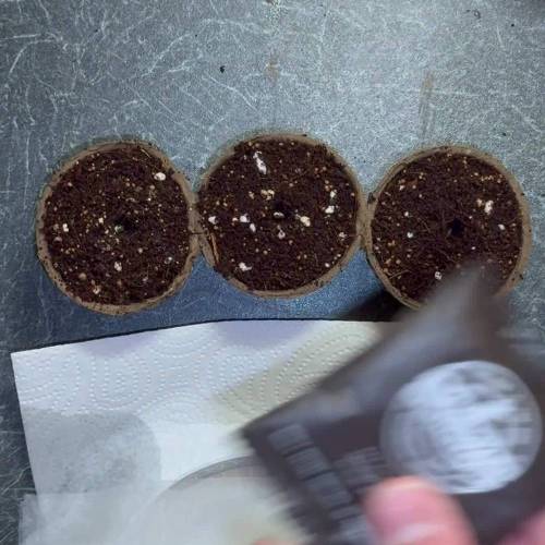 Tent-X Ultimate Grow Challenge / Mr2toke