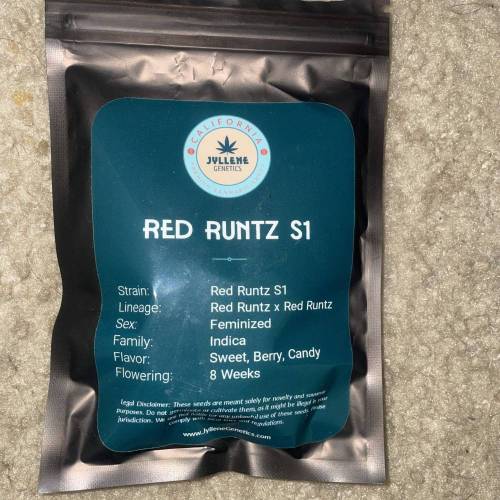 Red Runtz s1 [Jyllene Genetics]. Week 0