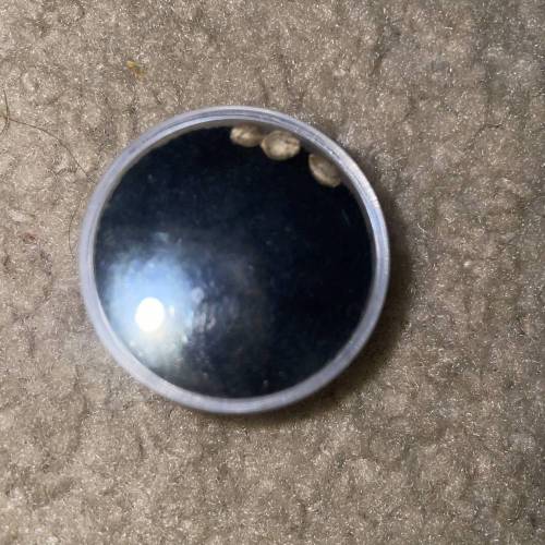 Red Runtz s1 [Jyllene Genetics]. Week 0