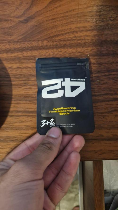 Purple Haze Auto 420 #2 Reloaded. Week 0 - G-2