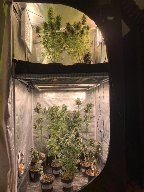 K15 F3. Week 12