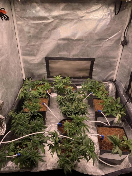 Big Test Only Women p.1. Week 3