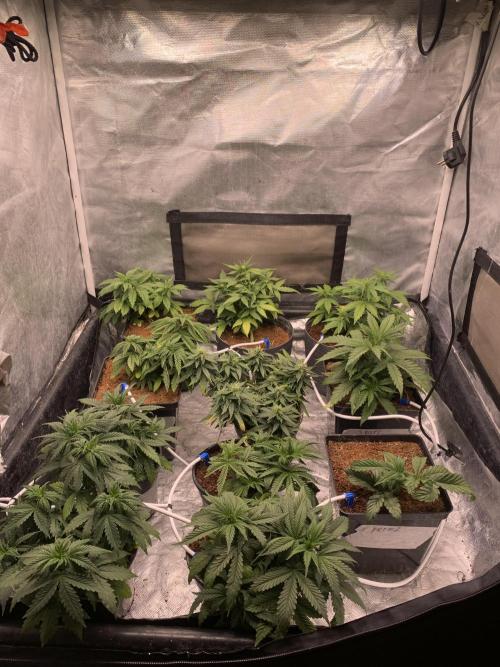 Big Test Only Women p.1. Week 3