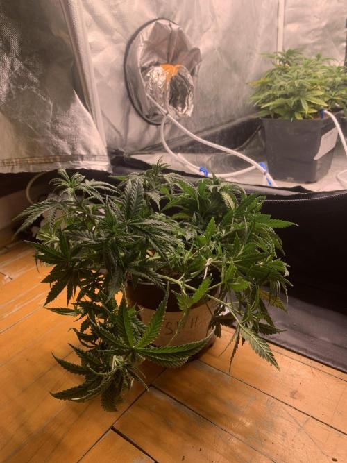 Big test only women p.2. Week 4