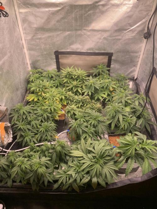 Big test only women p.2. Week 4
