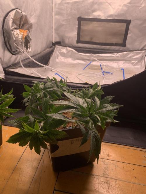 Big Test Only Women p.1. Week 4