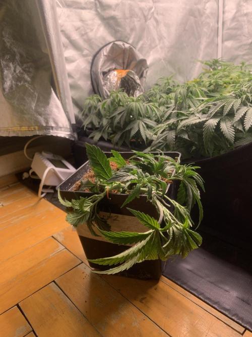Big Test Only Women p.1. Week 4