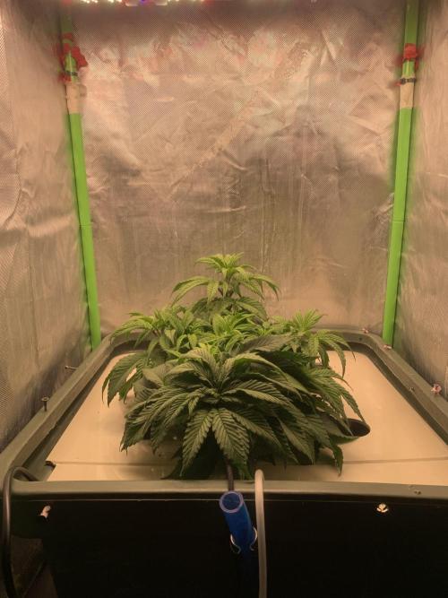 Big Test Only Women p.1. Week 4