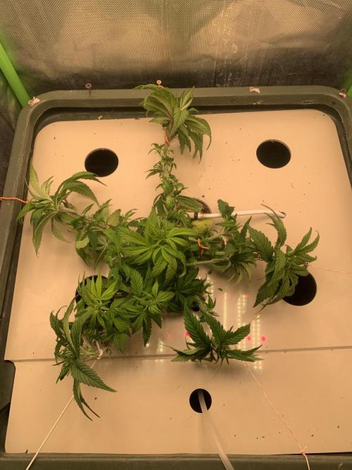 Big Test Only Women p.1. Week 4