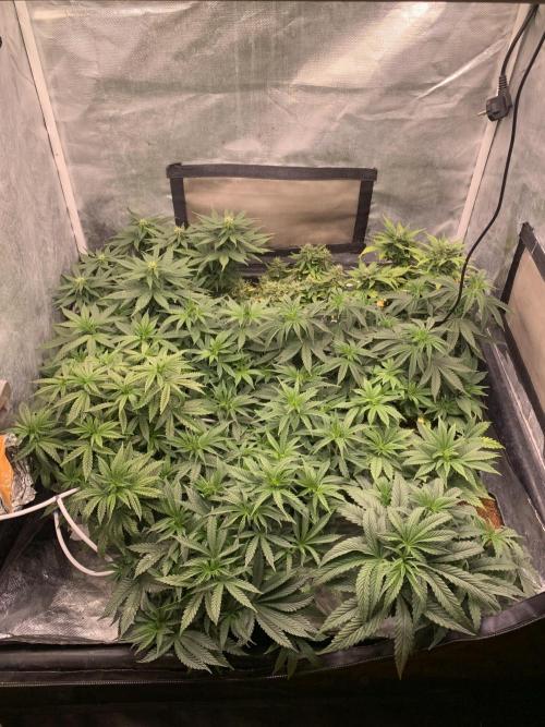Big test only women p.2. Week 5