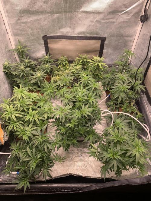 Big test only women p.2. Week 5