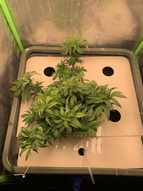 Big Test Only Women p.1. Week 6