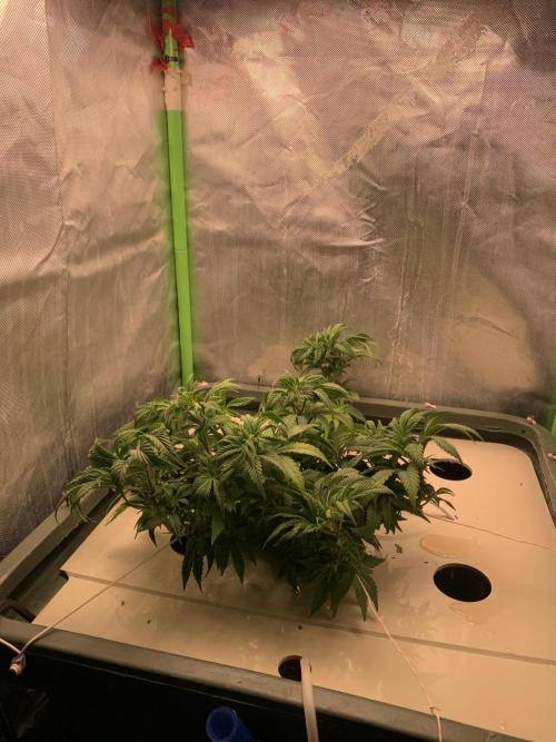 Big Test Only Women p.1. Week 6