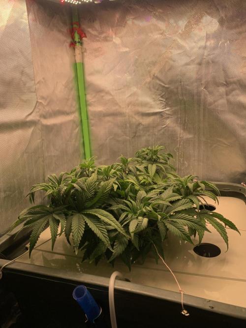 Big Test Only Women p.1. Week 6