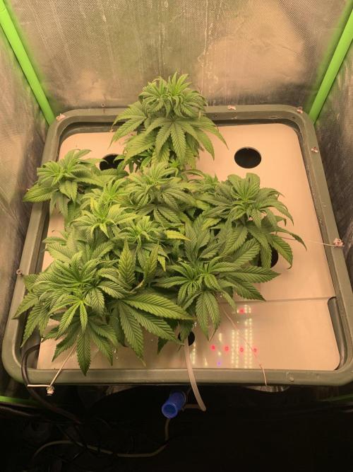 Big Test Only Women p.1. Week 6