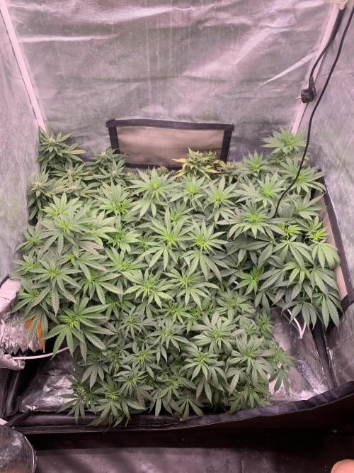 Big test only women p.2. Week 6