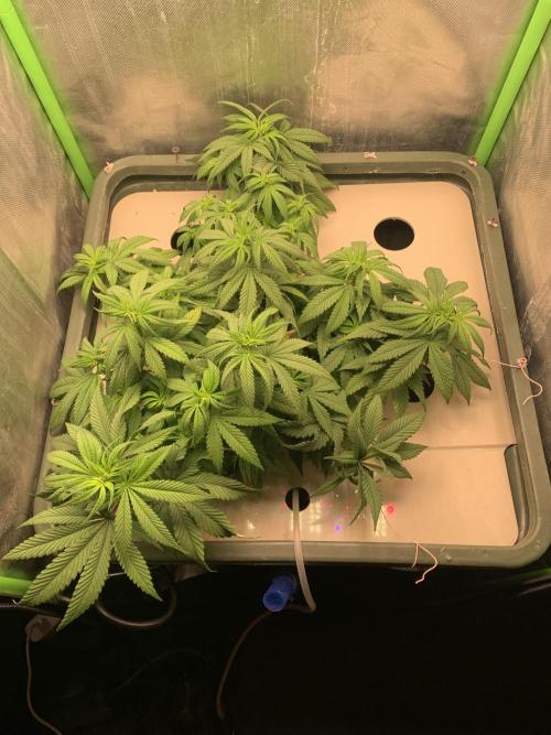 Big Test Only Women p.1. Week 7