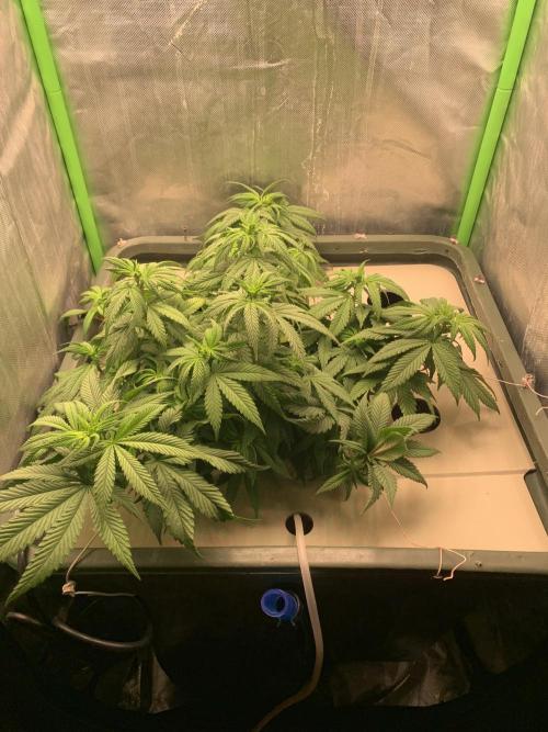 Big Test Only Women p.1. Week 7