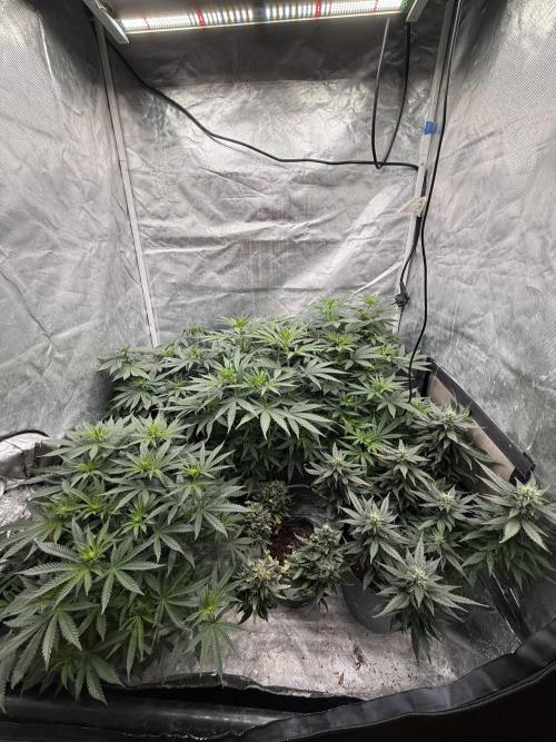 Big test only women p.2. Week 7