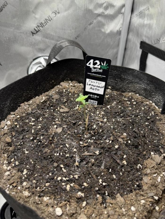 Indoor Spring 2026. Week 1