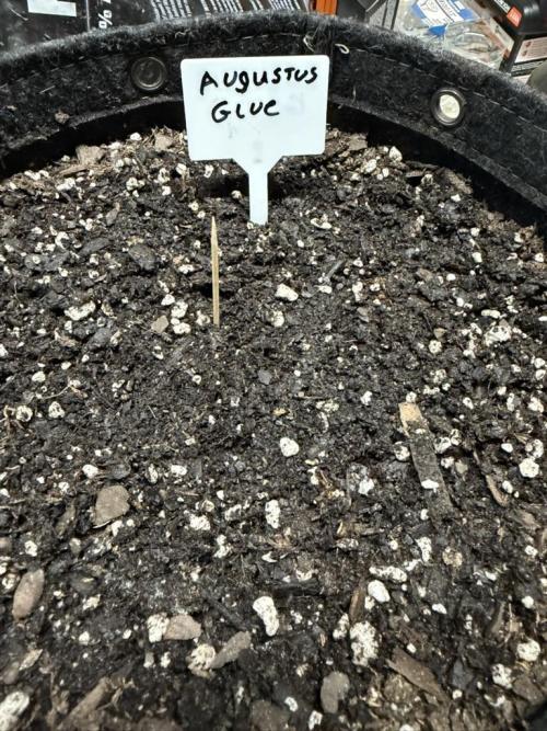 Outdoor Spring 2026. Week 0