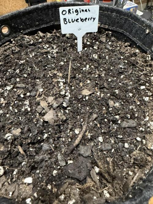 Outdoor Spring 2026. Week 0
