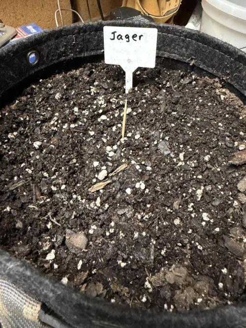 Outdoor Spring 2026. Week 0
