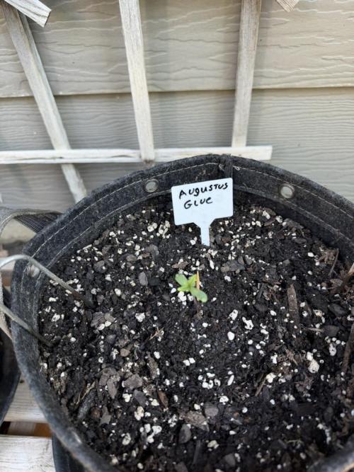 Outdoor Spring 2026. Week 1