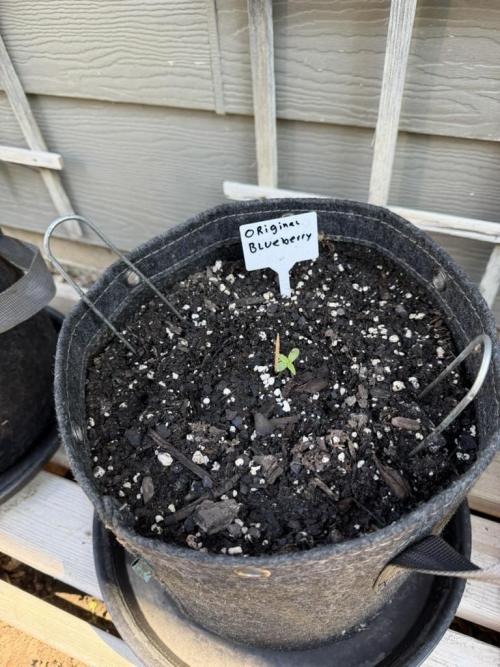 Outdoor Spring 2026. Week 1