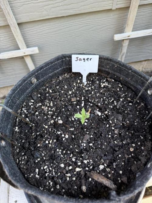 Outdoor Spring 2026. Week 1