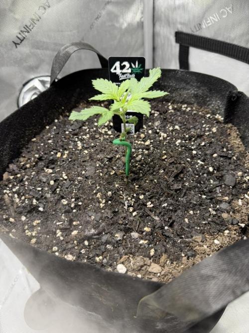 Indoor Spring 2026. Week 2