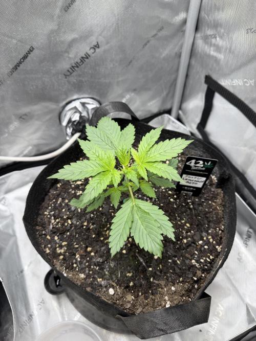 Indoor Spring 2026. Week 2