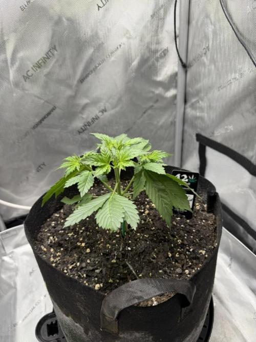 Indoor Spring 2026. Week 3