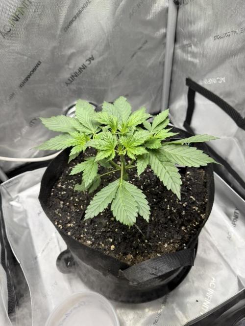 Indoor Spring 2026. Week 3