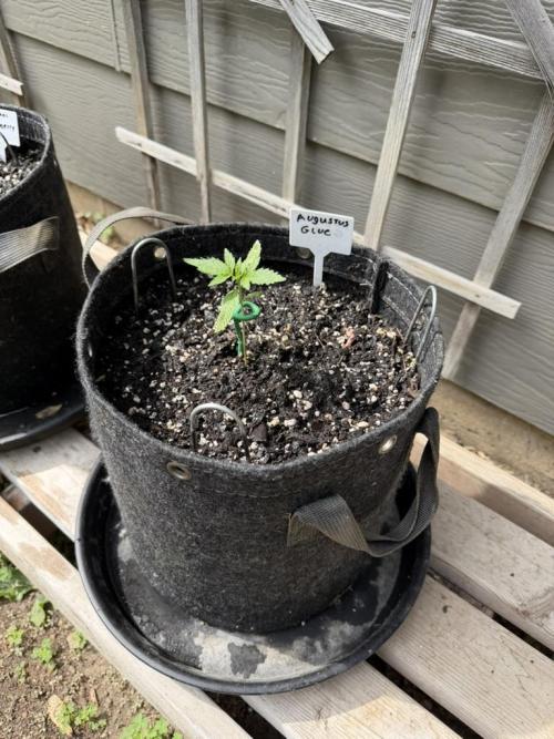 Outdoor Spring 2026. Week 2