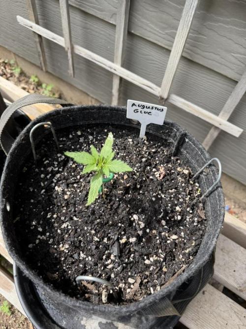Outdoor Spring 2026. Week 2