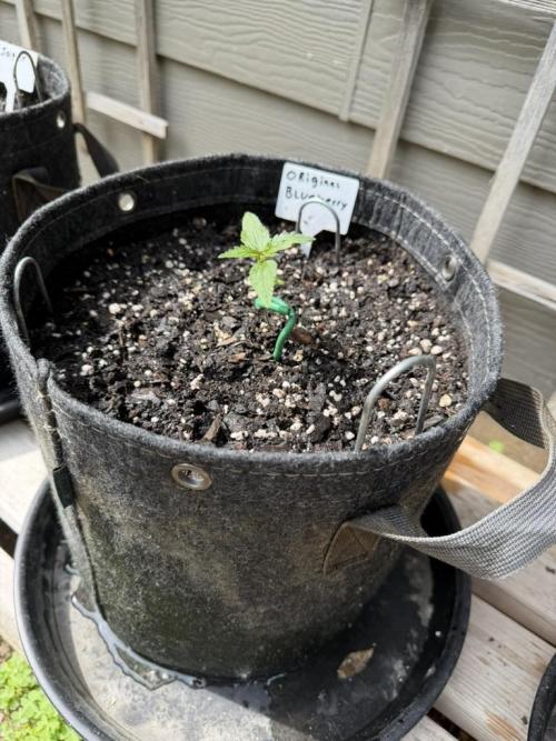 Outdoor Spring 2026. Week 2