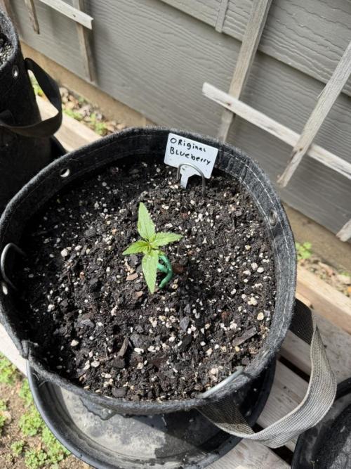 Outdoor Spring 2026. Week 2