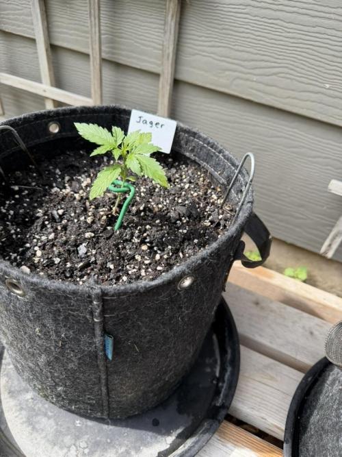 Outdoor Spring 2026. Week 2