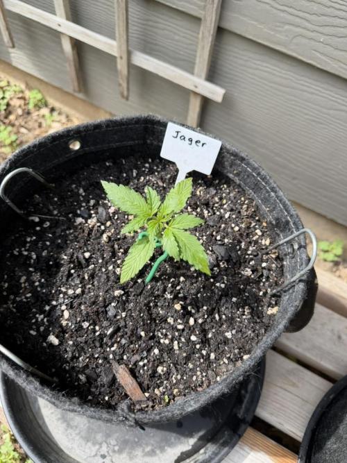 Outdoor Spring 2026. Week 2