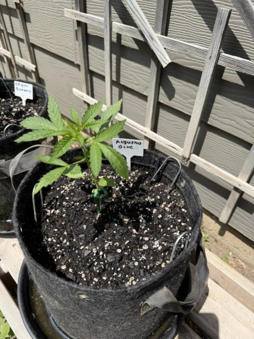 Outdoor Spring 2026. Week 3
