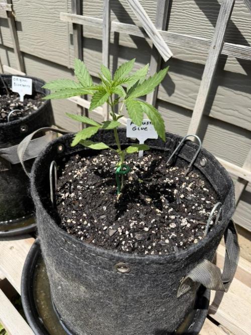 Outdoor Spring 2026. Week 3