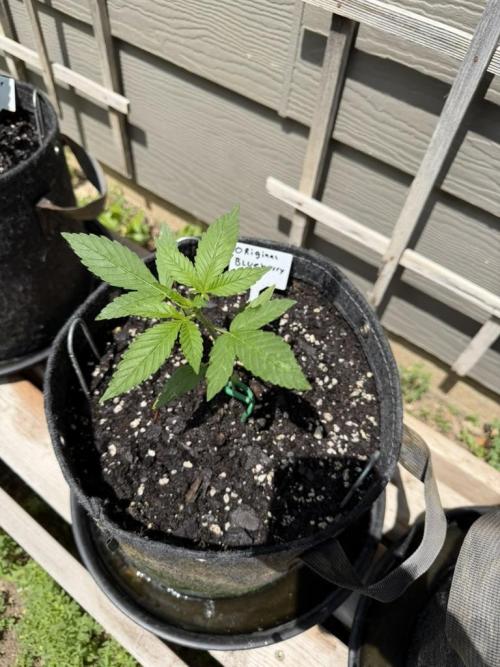 Outdoor Spring 2026. Week 3